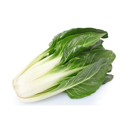 COSTE SFUSE (BIETOLA) FRESCHE